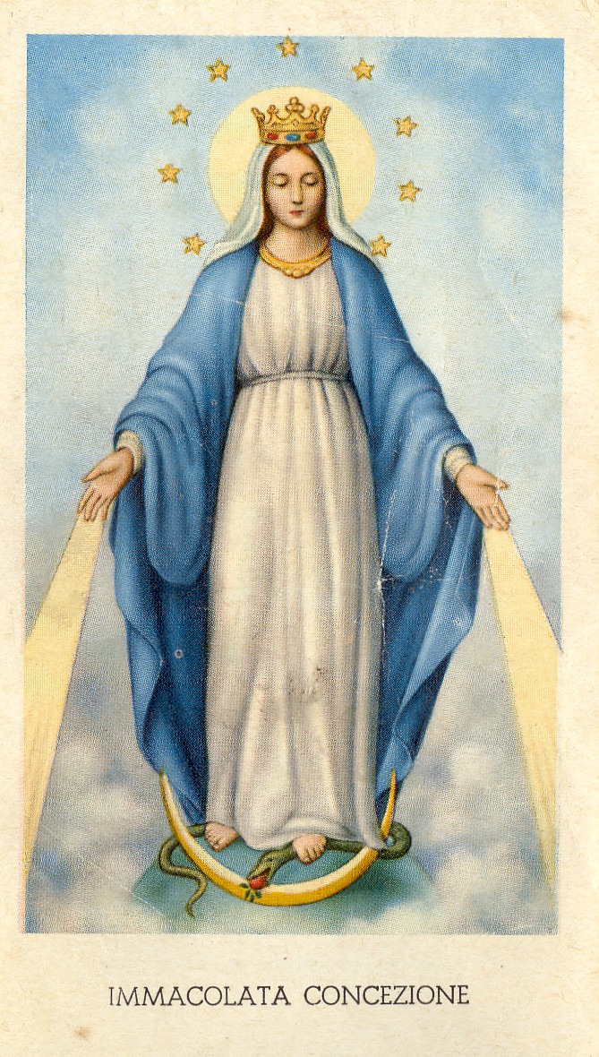 immacolata concezione.jpg